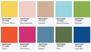 Color Trends